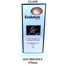 Corporate Awards Glass 1255-3BKS 175mm 