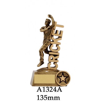 Cricket Trophies Bowler A1324A - 135mm Also 160mm