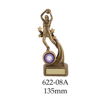 Netball Trophies 622-8A - 135mm Also 160mm 180mm 210mm & 235mm
