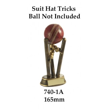 Cricket Trophies 740-1A - 165mm