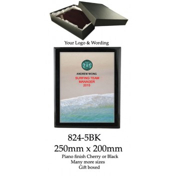Surfing Plaques 824-5BK - 250mm x 200mm