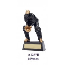 Cricket Trophies A1251A - 164mm Also 191mm & 225mm