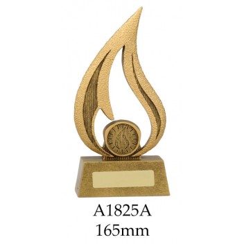 Knowledge Trophy A1825A - 165mm Also 180mm & 210mm