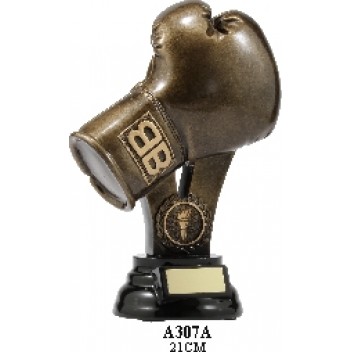 Boxing Trophies A307A - 210mm Also 240mm & 280mm
