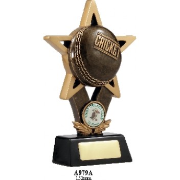 Cricket Trophies A979A - 152mm Also 176mm