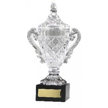 Trophy Cup Crystal CA-CUP  - 320mm
