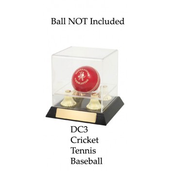 Cricket Ball Holder DC3