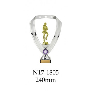 Netball Trophies N17-1805 - 240mm