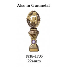 Netball Trophies N18-1705 - 224mm Also 244mm 264mm 284mm & 314mm