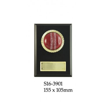 Cricket Plaque S16-3901 - 155mm x 105mm