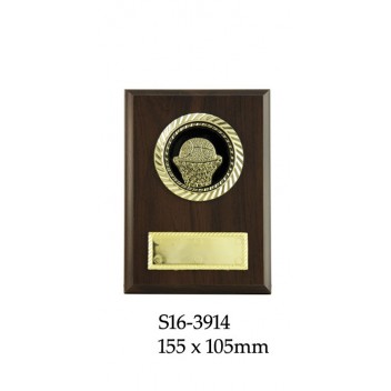 Basketball Plaque S16-3914 - 155 x 105mm