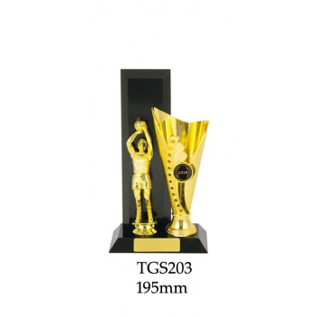 Basketball Trophies TGS203 - 195mm Also 220mm & 245mm