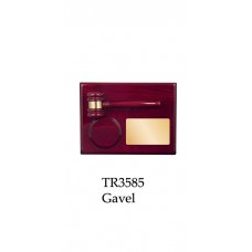 Corporate Awards TR3585 - Gavel & Stand 230mm x 306mm