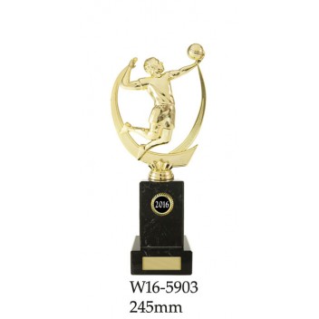 Volleyball Trophies W16-5903 - 245mm