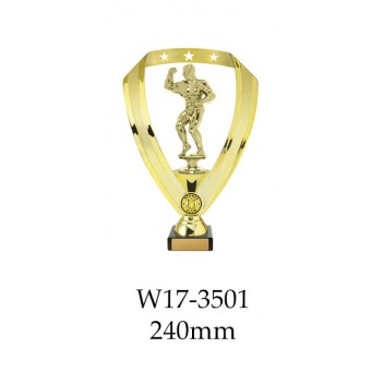 Bodybuilding Trophies Male W17-3501 - 240mm Also 290mm 315mm & 350mm