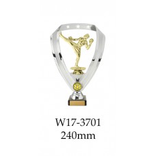 Boxing Kickboxing Trophies W17-3701 - 240mm Also 290mm 315mm & 350mm