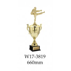 Martial Arts Trophies W17-3819 - 660mm Also 710mm & 990mm