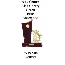 Equestrian Trophies W18-5504 - 230mm Also 260mm & 290mm