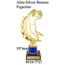 Basketball Trophies Male W19-7717 - 197mm Also 222mm 247mm & 272mm
