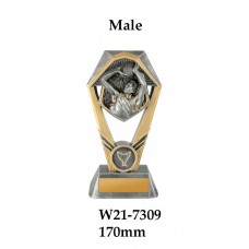 Basketball Trophies Male W21-7309 - 170mm Also 210mm & 230mm