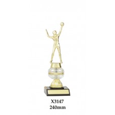 Volleyball Trophies Male X3147 - 240mm