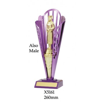 Knowledge Trophy X5161 - 260mm