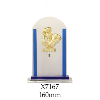 Boxing Trophies Glass X7167 - 160mm Also 180mm & 210mm