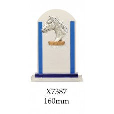 Equestrian Trophies Glass - X7387 160mm Also 180mm & 210mm